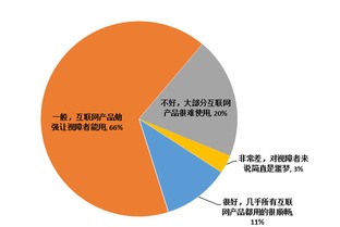 国内互联网无障碍水平亟待提升 软件开发的挑战与机遇
